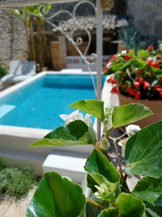 Bed and Breakfast Chez Les Filles Dions Exterior foto