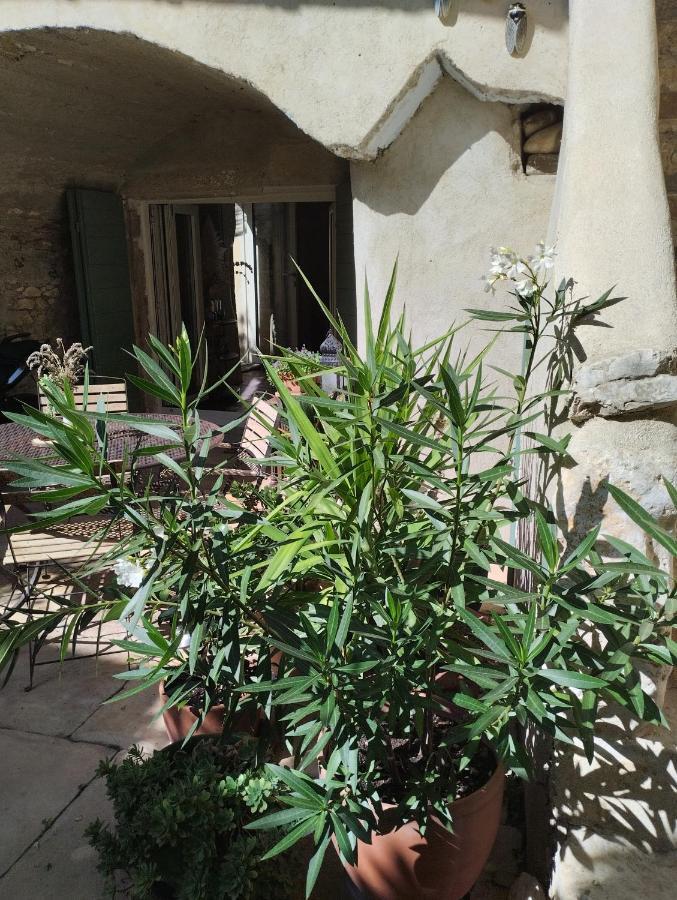 Bed and Breakfast Chez Les Filles Dions Exterior foto
