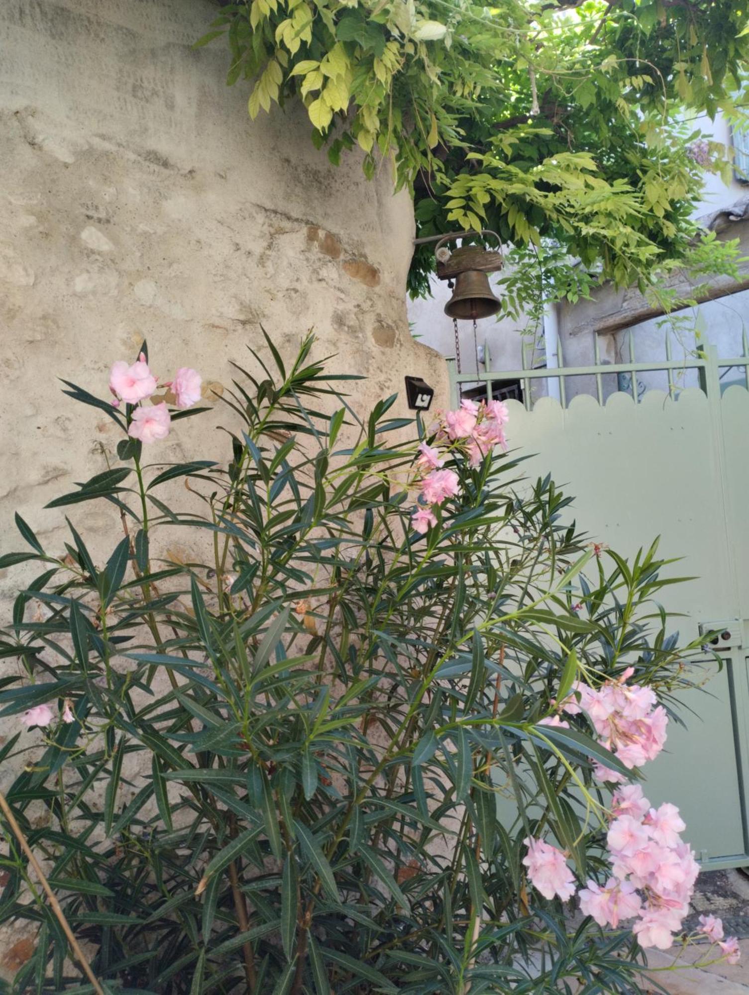 Bed and Breakfast Chez Les Filles Dions Exterior foto